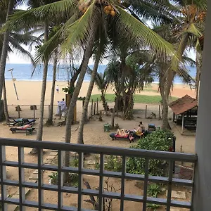 Dephani , Negombo Sri Lanka